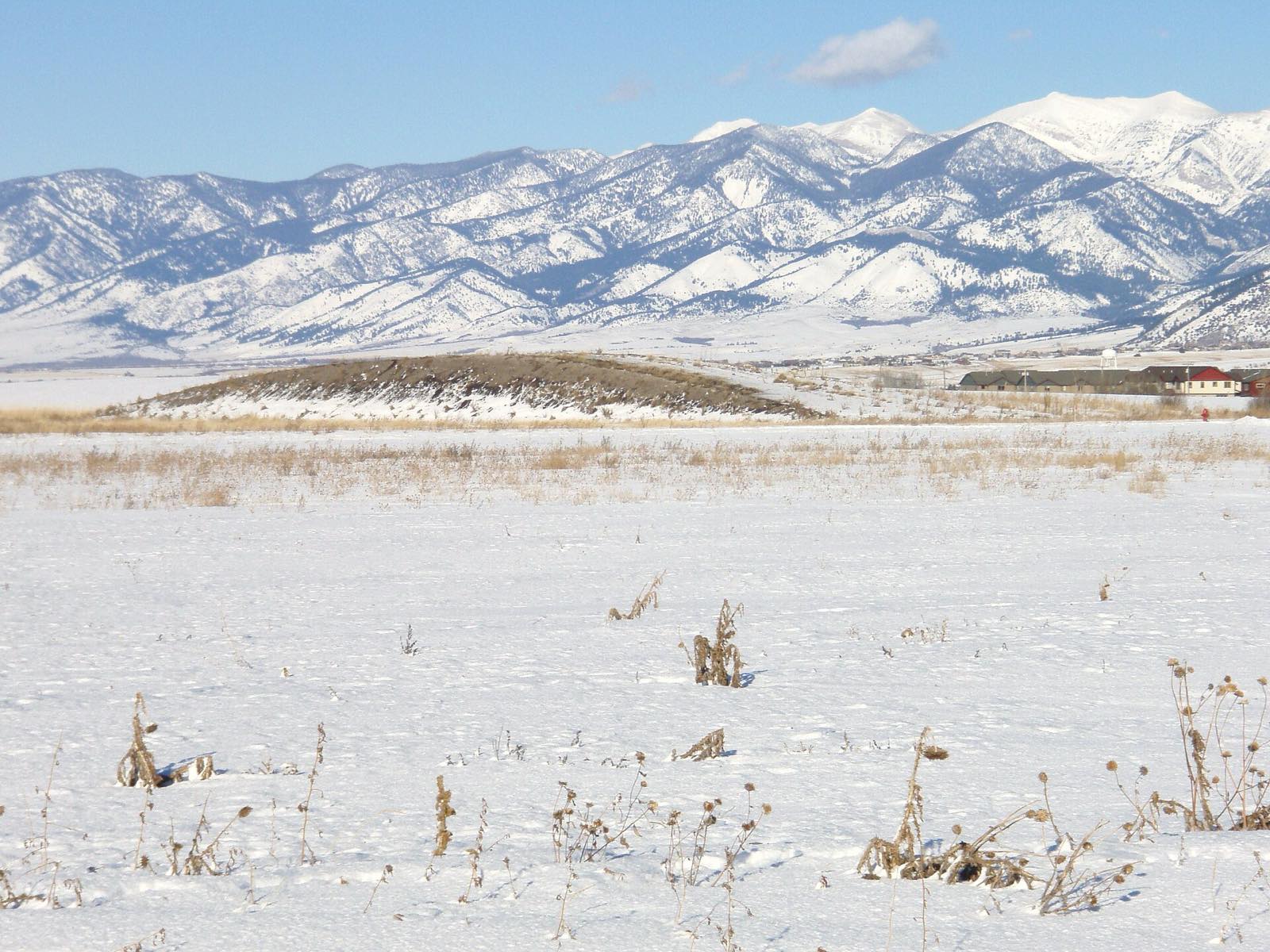 Snow-covered Bridger Mountains above a snowy field outside Bozeman